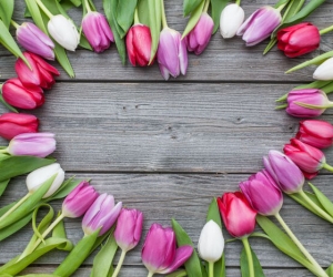 Filantropski fond - Zajedno za zajednicu